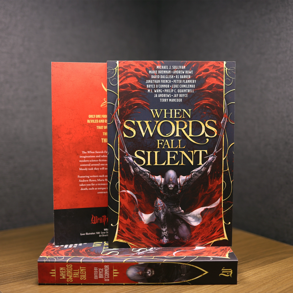 &#39;When Swords Fall Silent&#39; Paperback