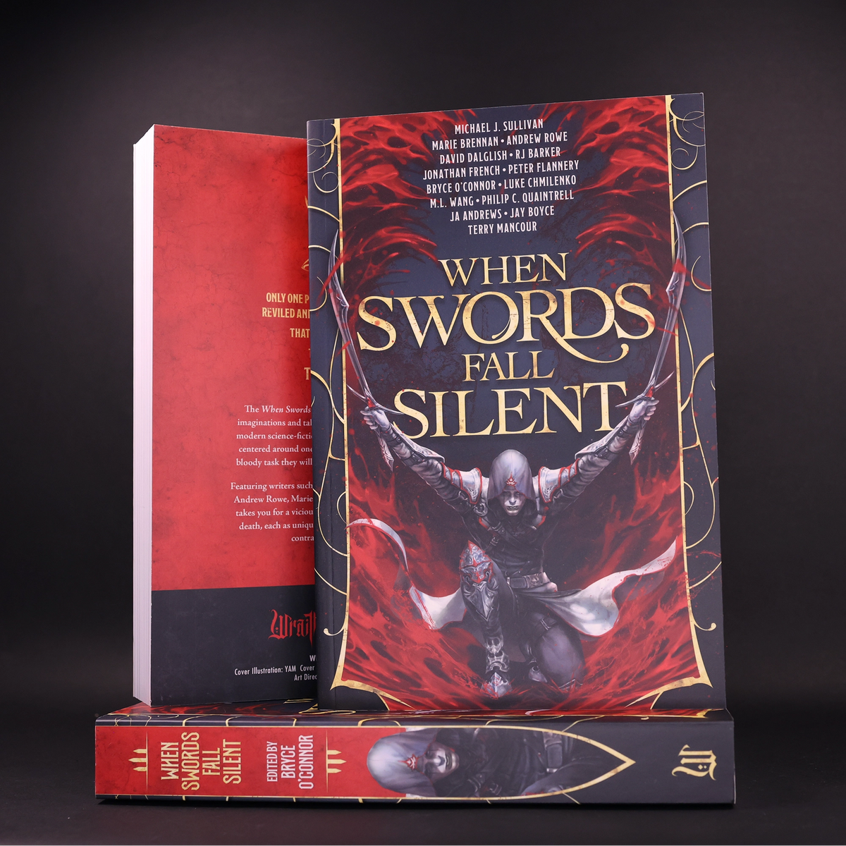 &#39;When Swords Fall Silent&#39; Paperback