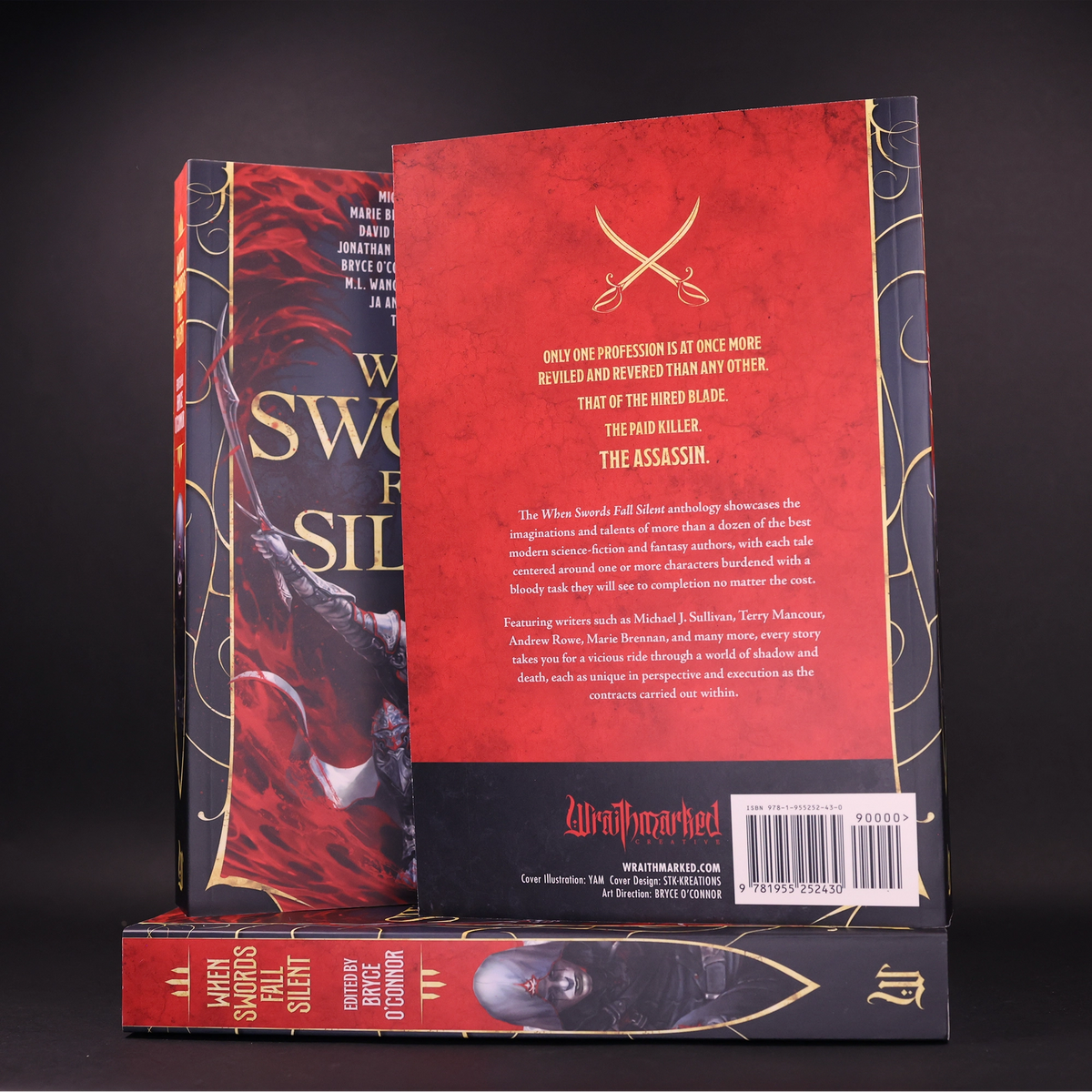 &#39;When Swords Fall Silent&#39; Paperback